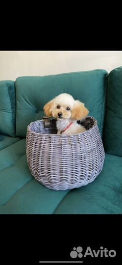 Корзина для велосипеда плетеная