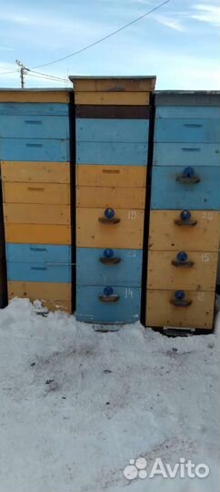 Ульи для пчел дадан