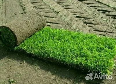 Гидропосев