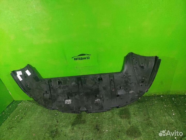 Защита переднего бампера Citroen C4 1