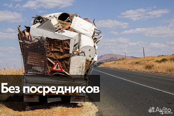 Дезинфекция