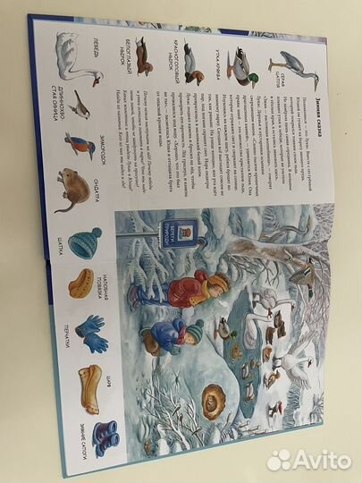 Книга зима находилки Бьянка Минте Кенинг