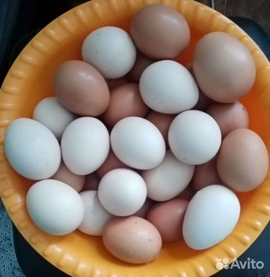 Домашние куриные яйца