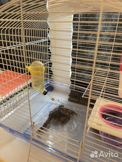 Клетка для грызунов