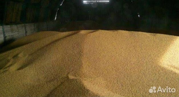 анализ крови соя норма у женщин по возрасту таблица. соя. соя ( glycine max l. норма крови на соэ в 60 лет. соя.