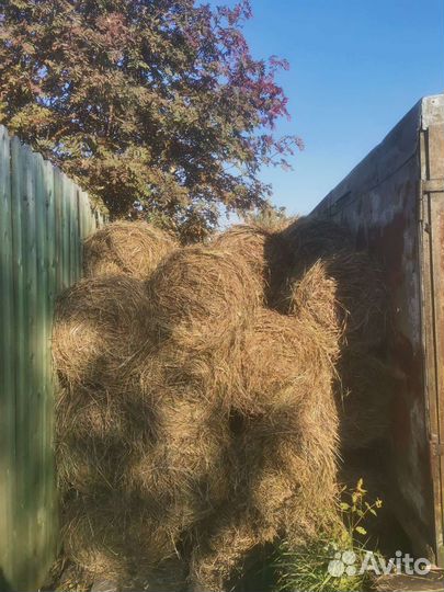 Сено в тюках