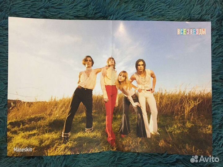 Плакаты постеры(Mneskin; Тимоти Шаламе)