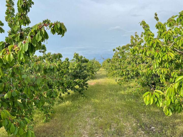 Участок 4,5 га (СНТ, ДНП)