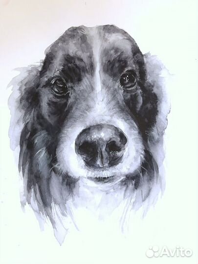 Портрет питомца (собаки или кошки) на заказ