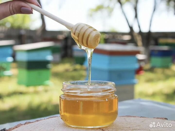 Мёд алтайский свежий опт