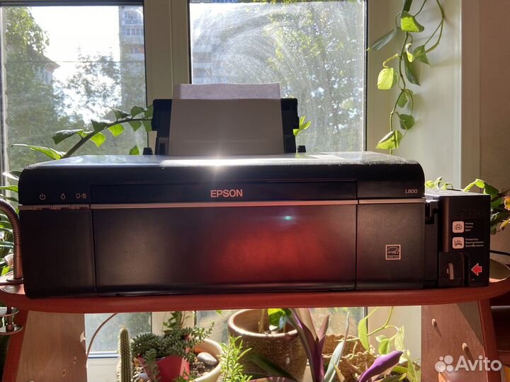 Принтер струйный epson l800