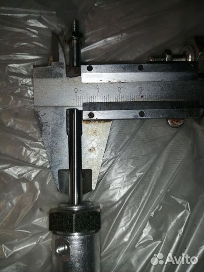 Пневмоцелидры. Kuroda(Япония)