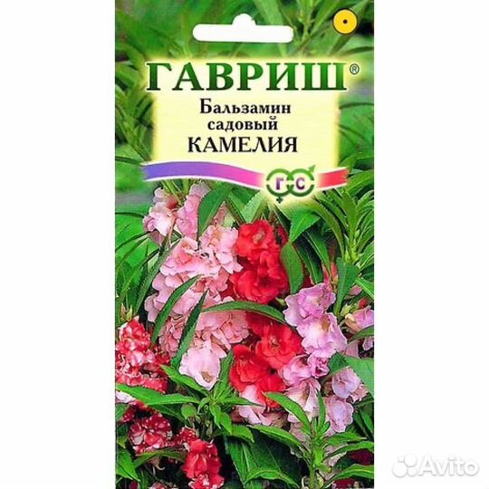 Бальзамин Камелия Садовый