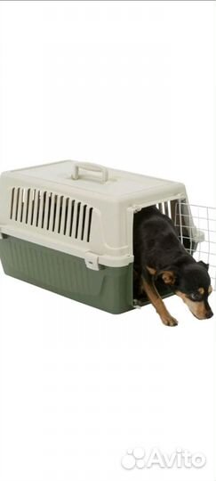 Переноска большая новая для животных, птиц и пр