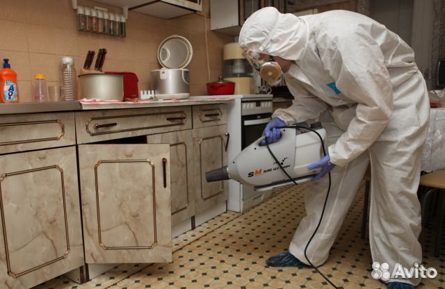 Обработка от клопов тараканов мух клещей Волгоград