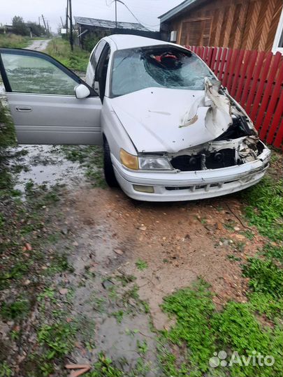 Toyota corona premio в разбор