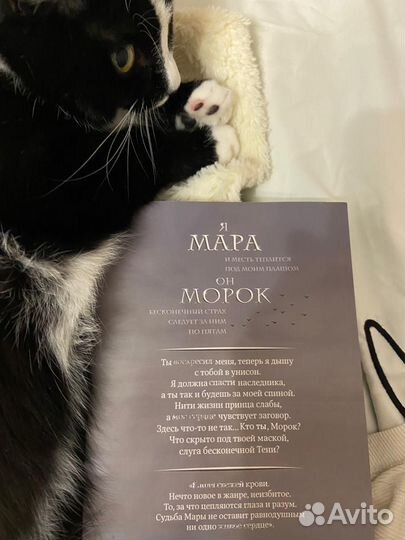 Книга метро 2034