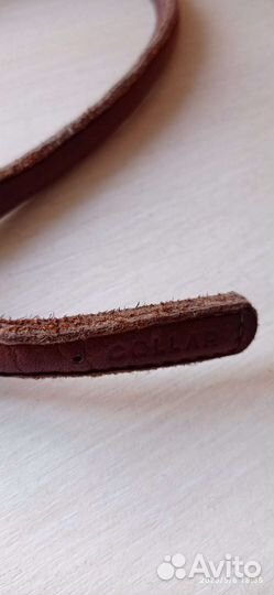 Шлейка для собаки