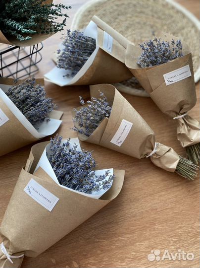 Лаванда сухоцвет