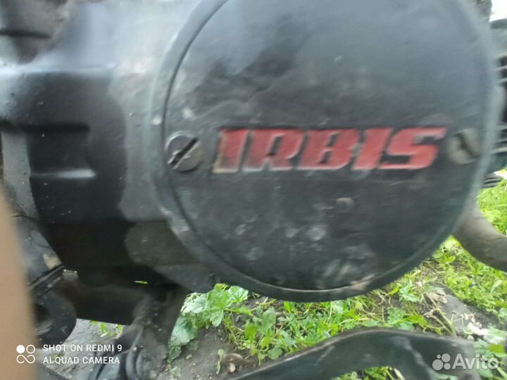 Ирбис Ттр 125