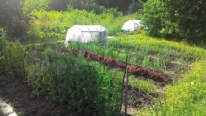 Участок 30 сот. (СНТ, ДНП)