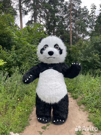 Надувная панда 2.6м. Поздравление, Аниматор