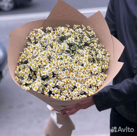 Ромашки букет