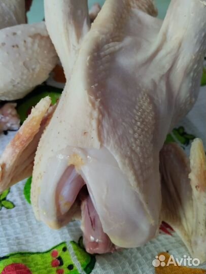 Куры суповые