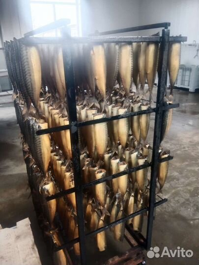 Соленья Рыба оптом