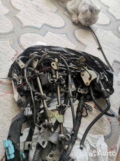 Инфинити м35 форсунки проводка коса