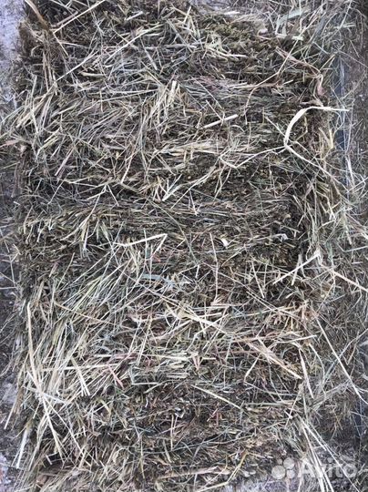 Сено в брикетах