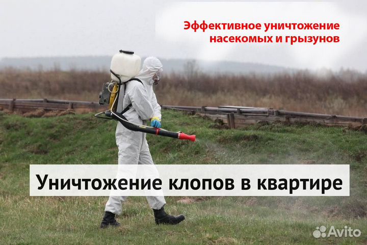 Уничтожение клопов тараканов грызунов блох плесени