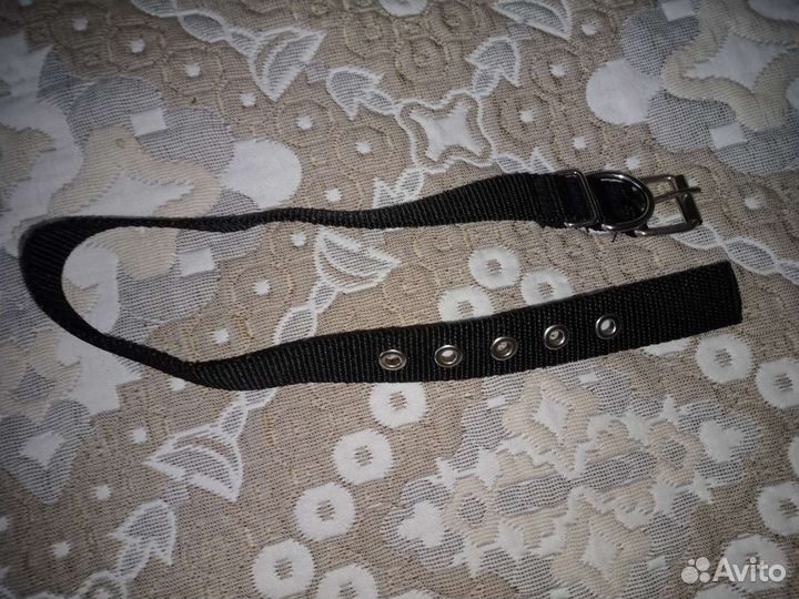 Ошейник для собак