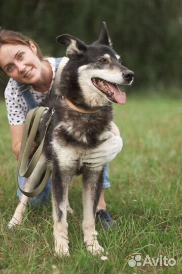 Меня зовут Джоник