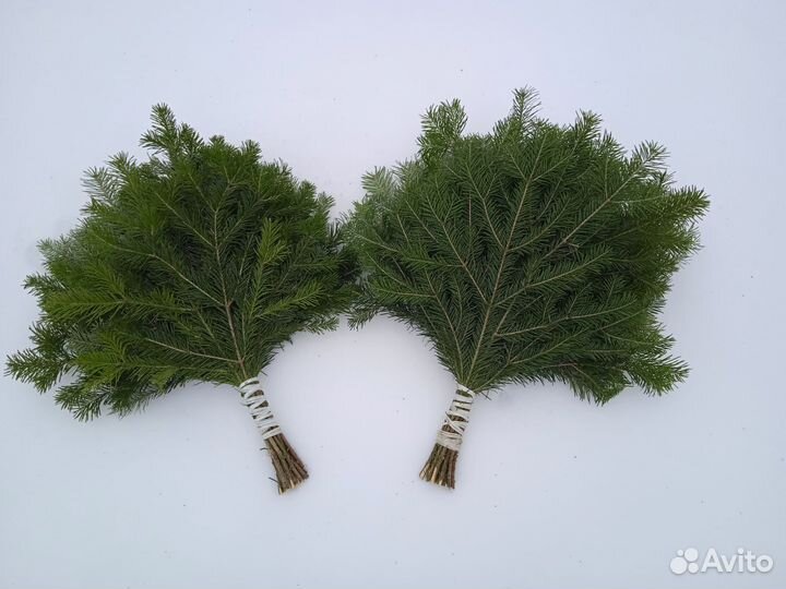 Веники пихтовые