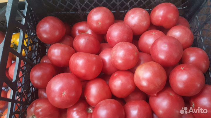 Продаём огурчики,помидоры,перец,зелень