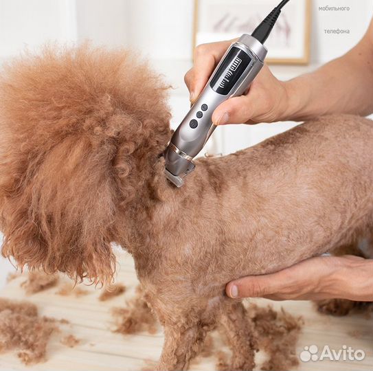 Профессиональный триммер для стрижки животных 2 в1