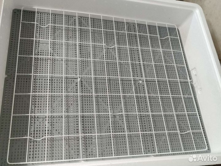 Инкубатор для яиц(Несушка)