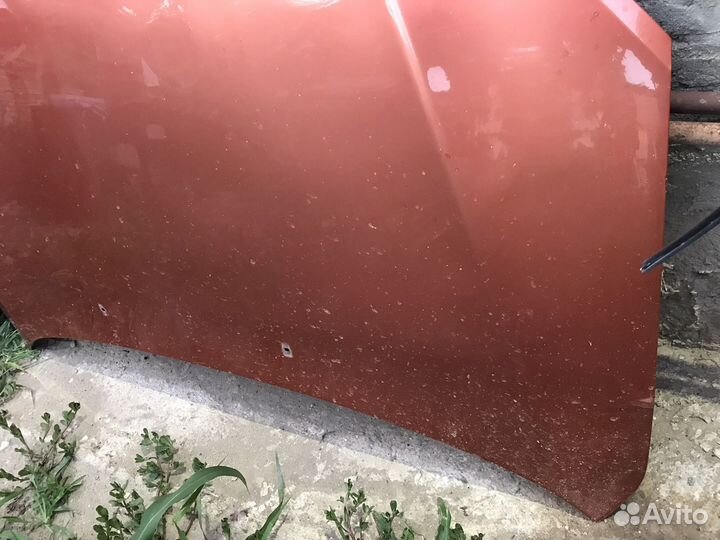 Капот гранта