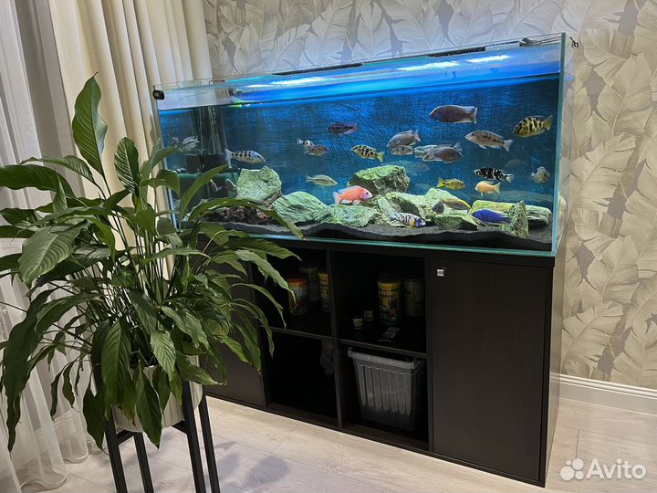 Аквариум 450л