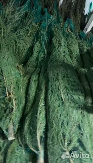 Елка новогодняя опт розница