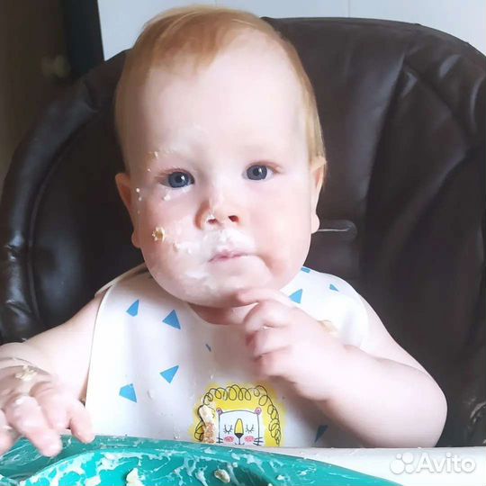 Сертифицированный консультант по прикорму