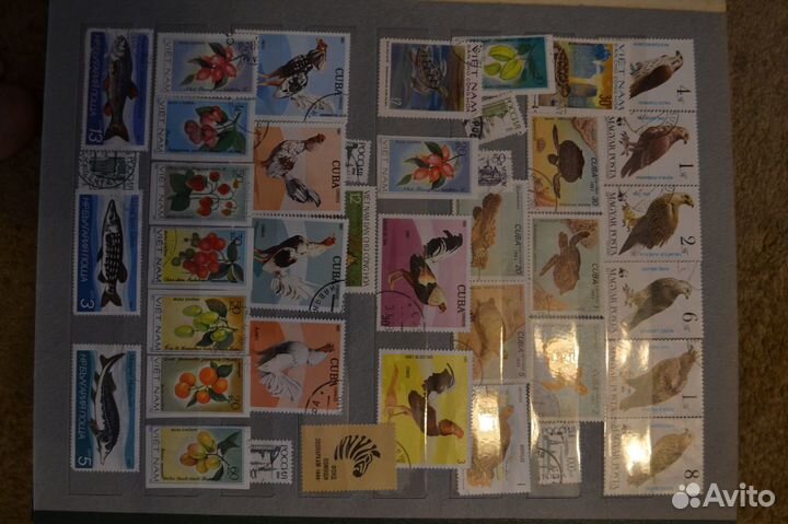 Альбом с марками