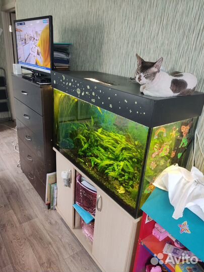 Аквариум 220л