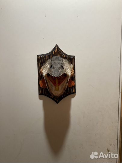 Чучело рыбы