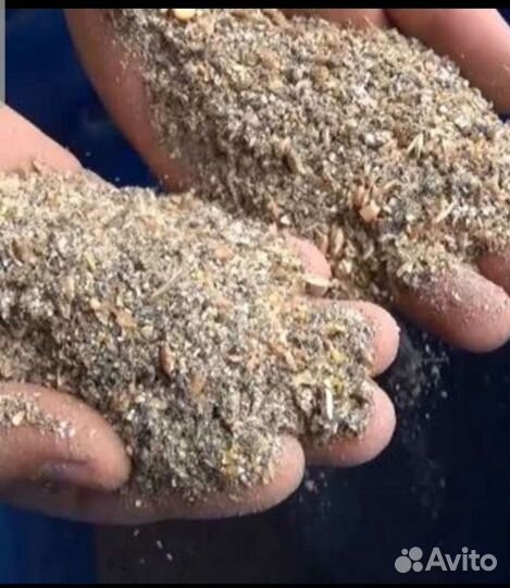 Комбикорм, зерно, отруби, премиксы, молоко, лапша