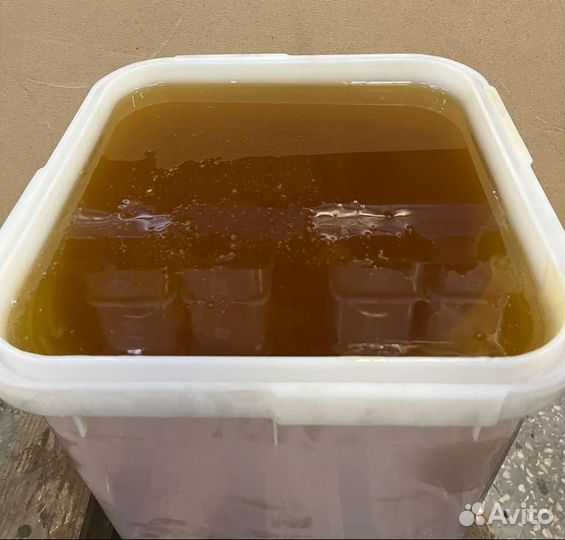 Оптом свежий мед разнотравье