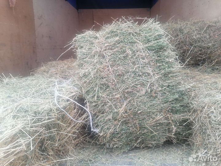 Корма,Зерно,Отруби,Молоко