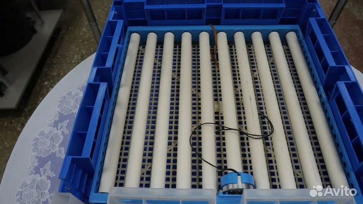 Умный инкубатор 