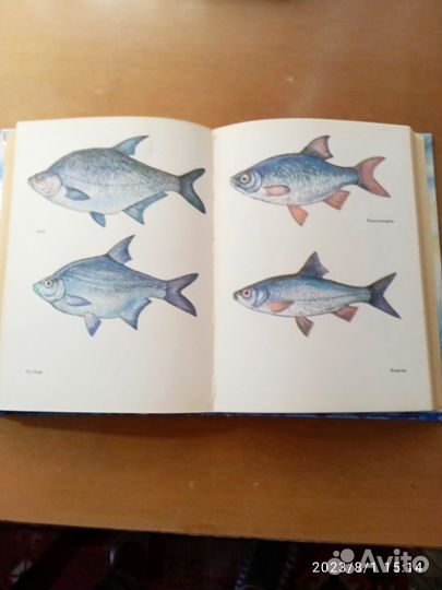 Книга Ю.К. Юсупов.Тайны рыбацкой удачи. 1995